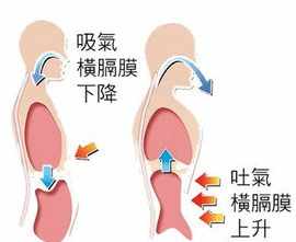 佛教的呼吸法 佛教观腹部呼吸法