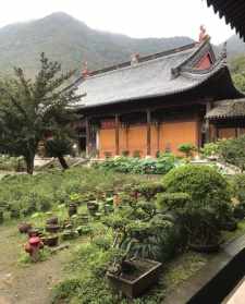 南京栖霞寺净法法师 栖霞寺净法师