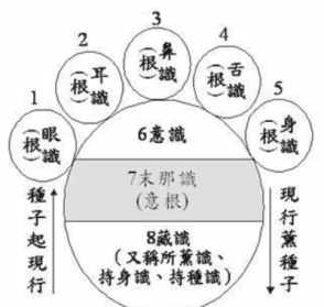 佛教八识详解 图解佛教八识图文解释