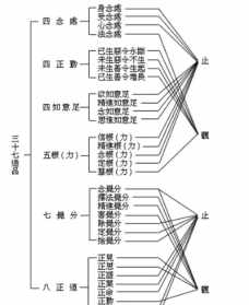 皈依佛学 佛教皈依智字辈