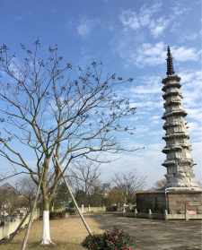 西湖边有什么好玩的 武汉爬山去哪里