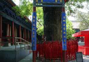 北京朝阳区有寺庙吗最近 北京朝阳区有寺庙吗