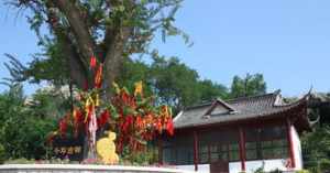 山东威海的寺院有哪些 山东威海的寺院