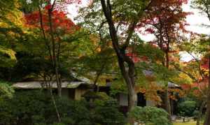 日本寺庙的图片 日本寺庙的图片真实