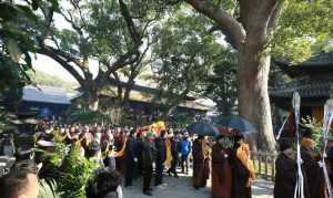 浙江荼毗的寺院 浙江荼毗的寺院在哪里