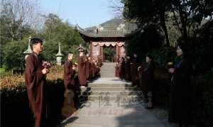 浙江荼毗的寺院 浙江荼毗的寺院在哪里