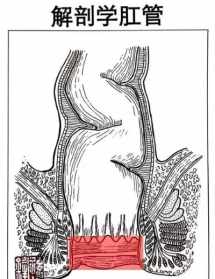 肛门痉挛怎么治疗方法 肛门痉挛学佛
