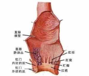 肛门痉挛怎么治疗方法 肛门痉挛学佛