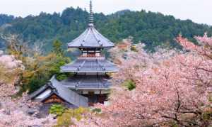 高野山法印 高野山空海法师