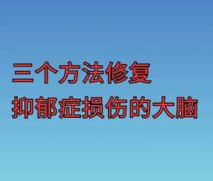 关于海涛佛法治疗抑郁症视频的信息