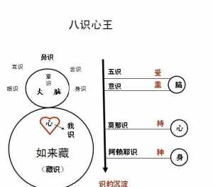 佛教中的八识第八识是什么 讲八识的佛经有哪些