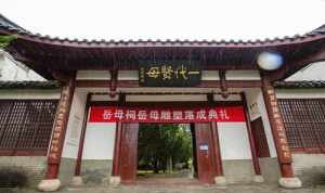 大安法师访谈 大安法师谈佛学院