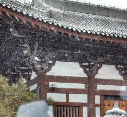 廊坊观音禅寺 廊坊安次区观音可以参观吗