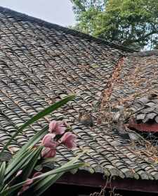 去寺庙静修一段时间 去寺庙静修一段时间好不好