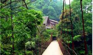 浦江寺庙 浦江寺庙张主持