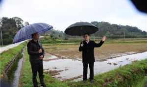 新郑观音寺镇长副书记是谁 新郑观音寺镇长副