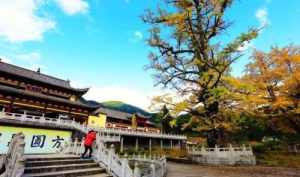 江西寺院排名 江西省有哪些寺院