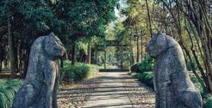 南屏山日常合集 南屏山森林公园寺庙