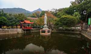 涌泉寺和尚 1870年涌泉寺僧