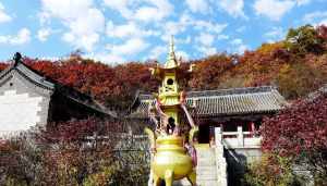 庄河的寺院 庄河寺庙