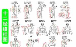 学佛居士适合干什么工作 学佛居士能做全身经络吗