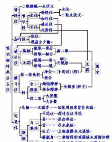 慧律法师唯识讲记 慧律唯识简介