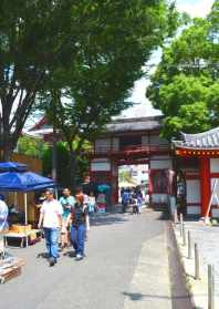 新郑观音寺里有没有寺庙 新郑观音寺都哪个村搬迁