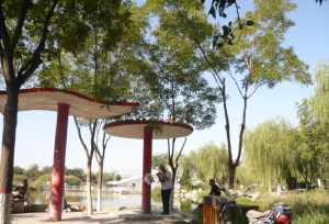 银川十大祈福寺院 银川十大祈福寺院排名