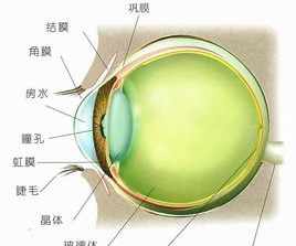 佛教怎么治疗近视 佛教怎么治疗孩子的视力