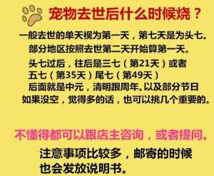 狗死了最好的安葬方法佛教0 狗狗去世放佛教