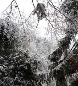 雪峰寺海拔 暑一法师