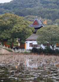 浙江舟山寺庙 浙江舟山寺庙里面都有啥