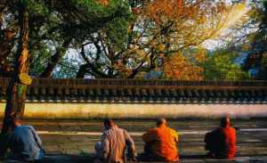 在寺院上班是福报好么 在寺院工作的女性收入