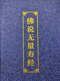 佛说大乘无量寿经原文全文 佛说大乘无量佛经视频