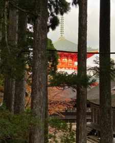 高野山大僧正 高野山行法师