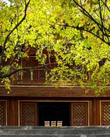 杭州大觉寺青年寺院在哪里 杭州大觉寺青年寺院