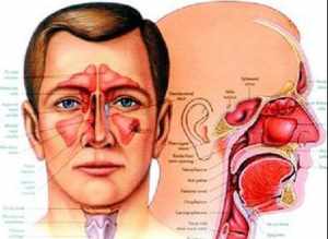 佛教讲鼻炎的果报 佛法鼻窦炎是什么因