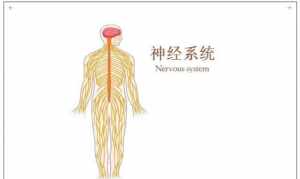 学佛神经了 佛教回神经