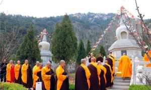 龙口市佛教协会 山东龙口有几个寺院