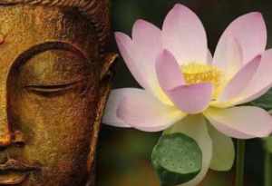 佛教怎么解释爱 佛教法爱