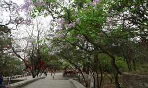 济南郊区寺庙 济南周边寺院大全