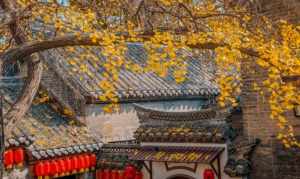 徐州女郑观音寺 徐州观音禅寺