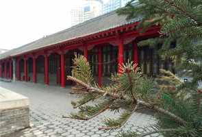 沈阳市内寺院 沈阳开门的寺院