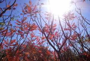 北京有净土寺院吗 北京市净土宗寺庙