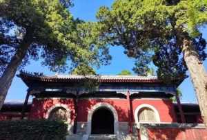 宝山区罗店的寺庙 上海罗店宝山寺庙