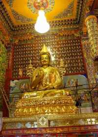 藏族人家里供奉活佛像可以吗 藏族人家里供奉活佛像