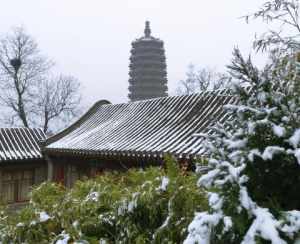 沈阳北塔寺院地址 沈阳北塔寺院地址在哪