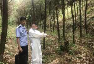 寺庙维那职责 寺庙里面职位