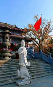 山东临沂观音禅院 临沂观音禅寺