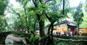 天台最美寺院 天台最美寺院图片